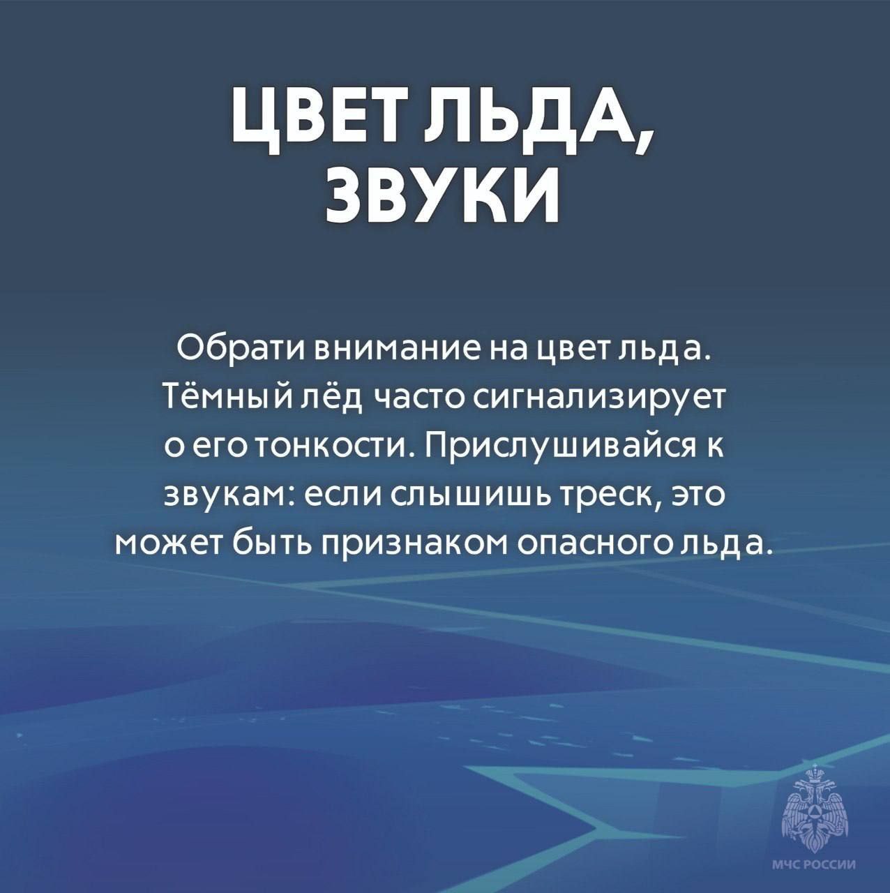 IMG 20250206 100502 592