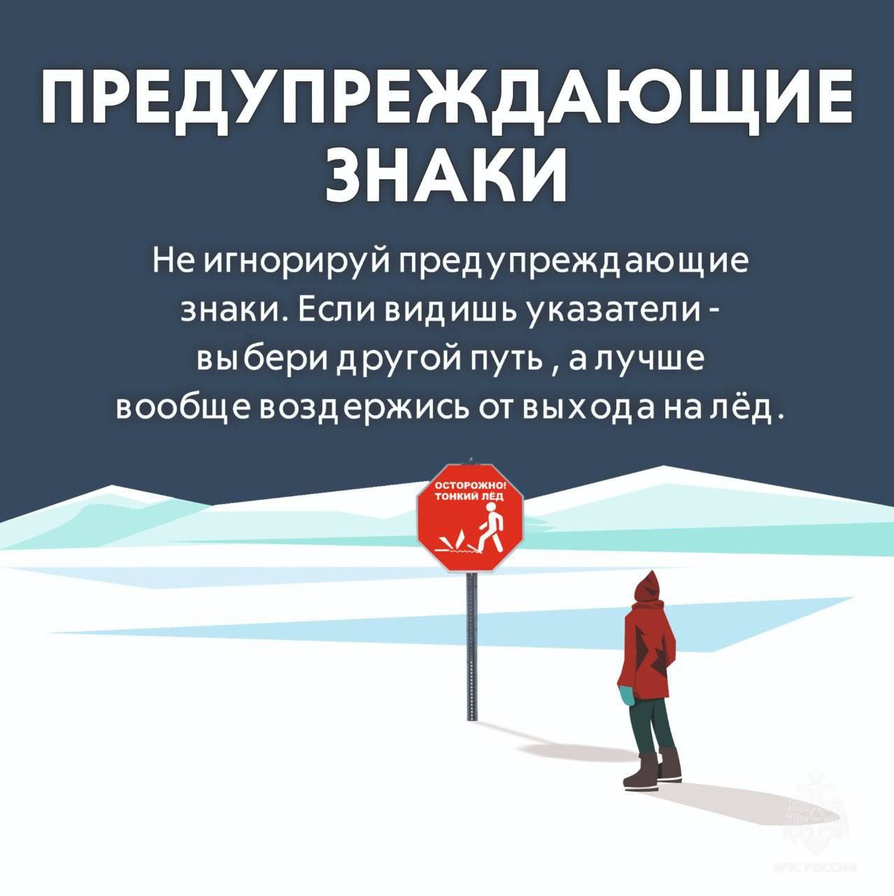 IMG 20250206 100502 953